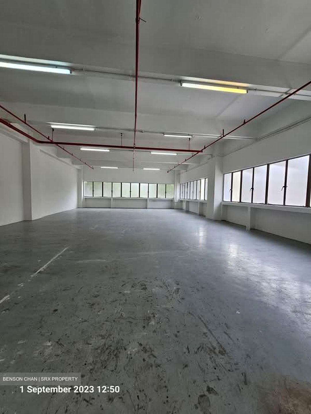 Perfect One (D13), Warehouse #618734841